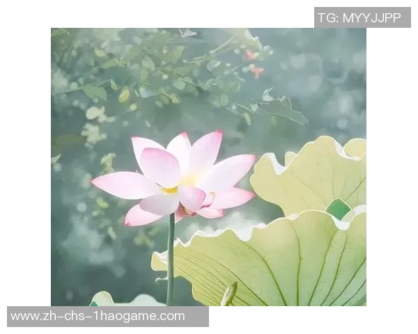 熏风与自然的对话在心灵深处绽放的诗意与宁静